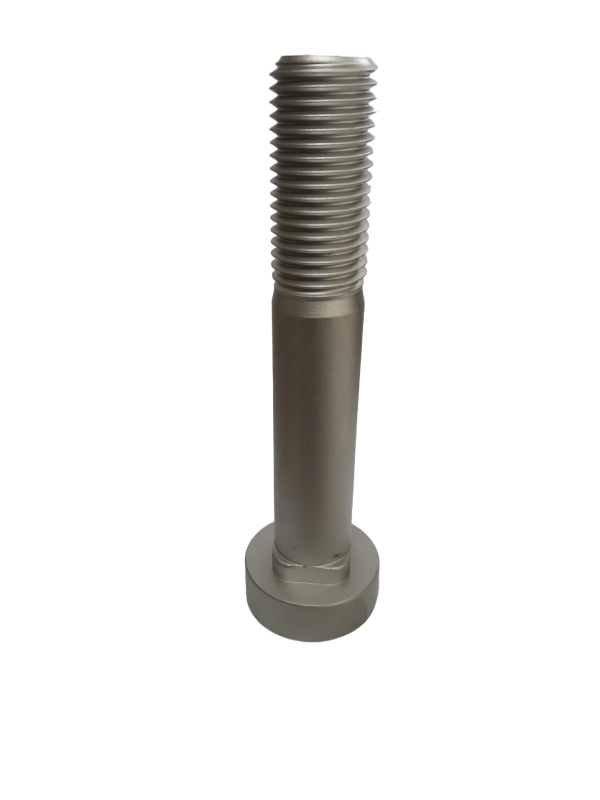 NEW PRODUCT DEVELOPMENT ROUND HEAD FLANGE BOLTS STAINLESS STEEL